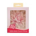 FunCakes Edible Wafer Flowers Deluxe Peony Pink Ombre Large pk/1