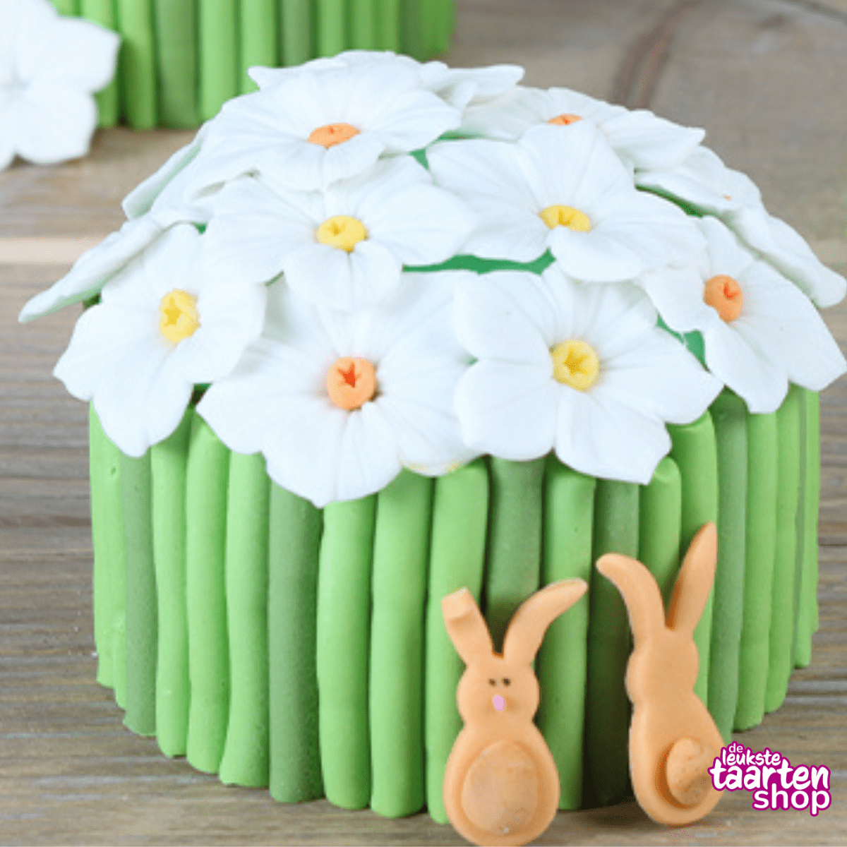 Mini Spring cakes