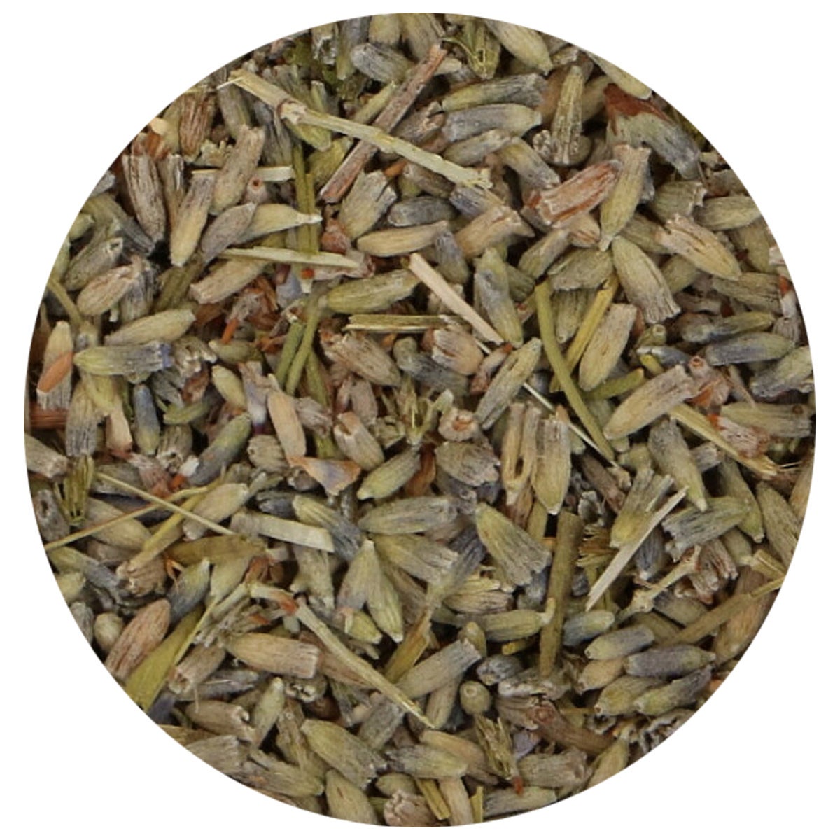 FunCakes Edible Dried Flowers Lavender 10g