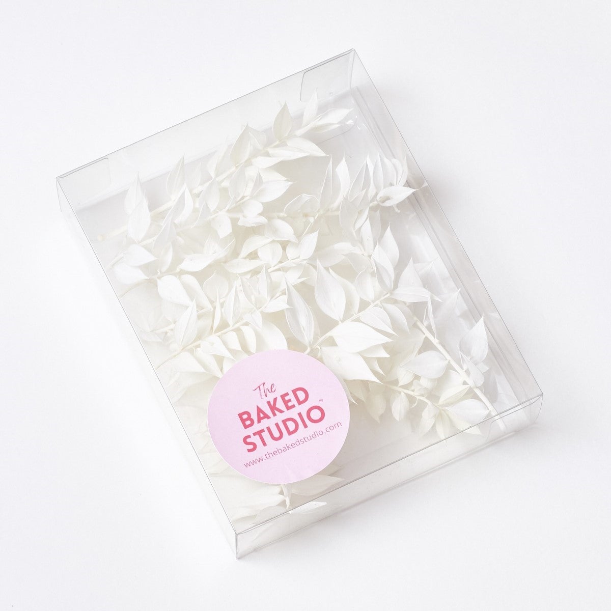 The Baked Studio Dried Flower Box - Ruscus - White