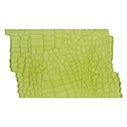 Marvelous Molds Silicone Mold - Alligator