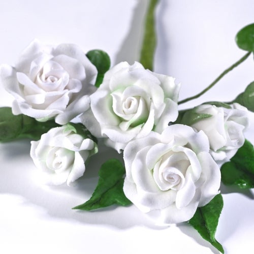 Renshaw Flower & Modelling Paste -White- 250g