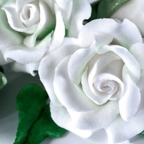 Renshaw Flower & Modelling Paste -White- 250g