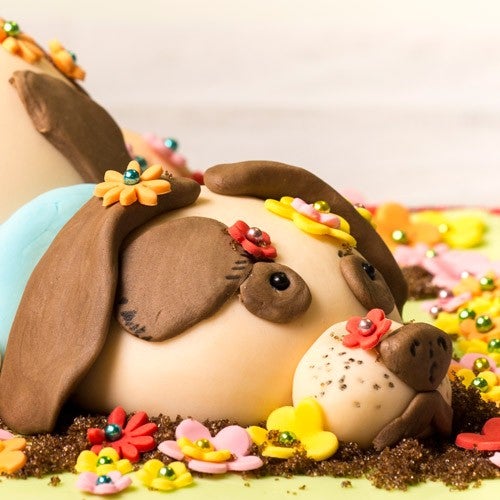 Animal cake
