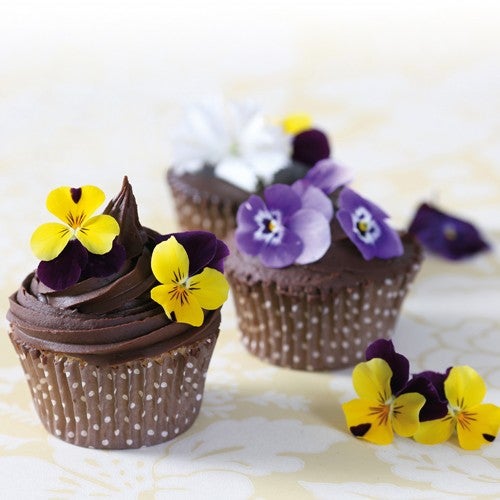 Cupcakes with ganache swirl