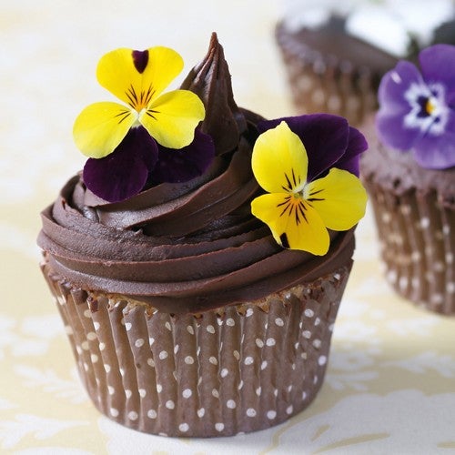 Cupcakes with ganache swirl