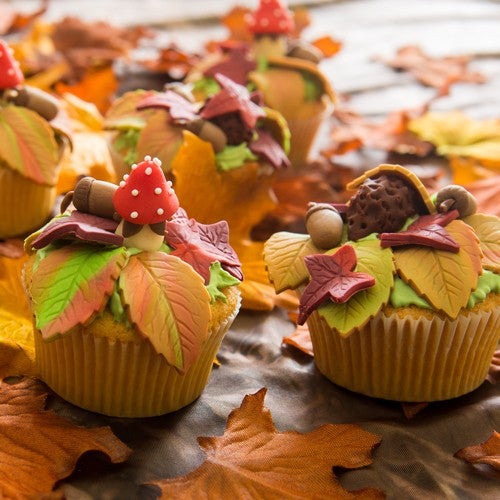 Autumn Cupcakes