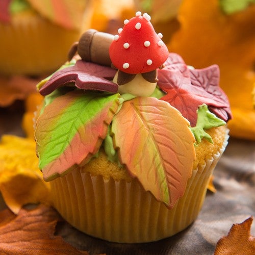 Autumn Cupcakes