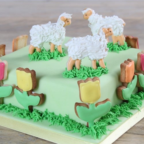 Cookies cake