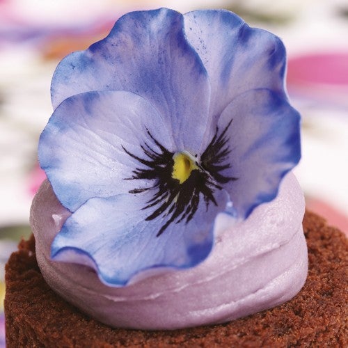 Purple Pansies from Peggy Porschen