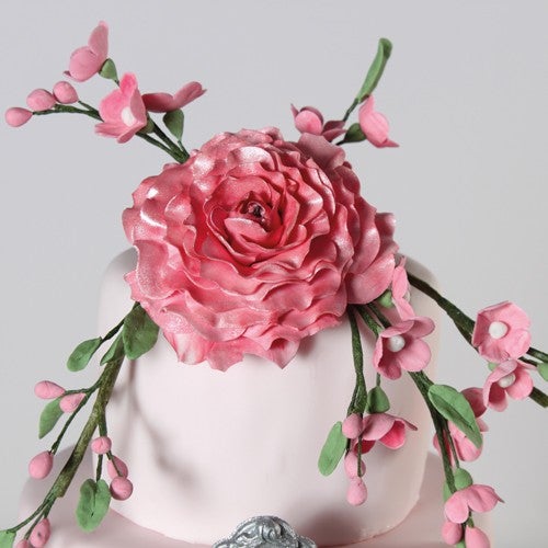 Beautiful flower