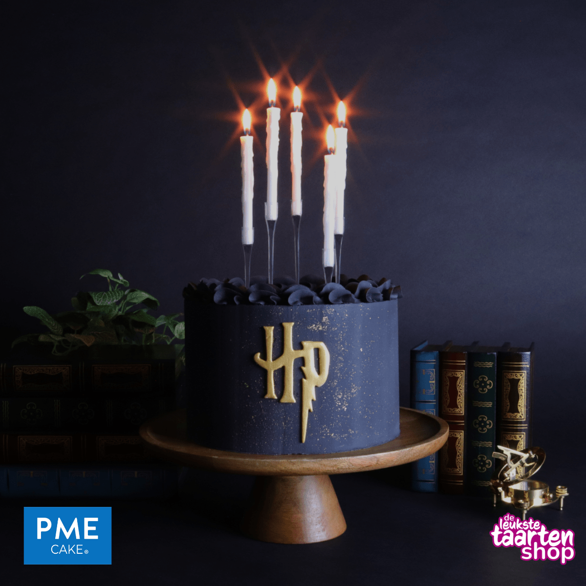 Harry Potter Cake