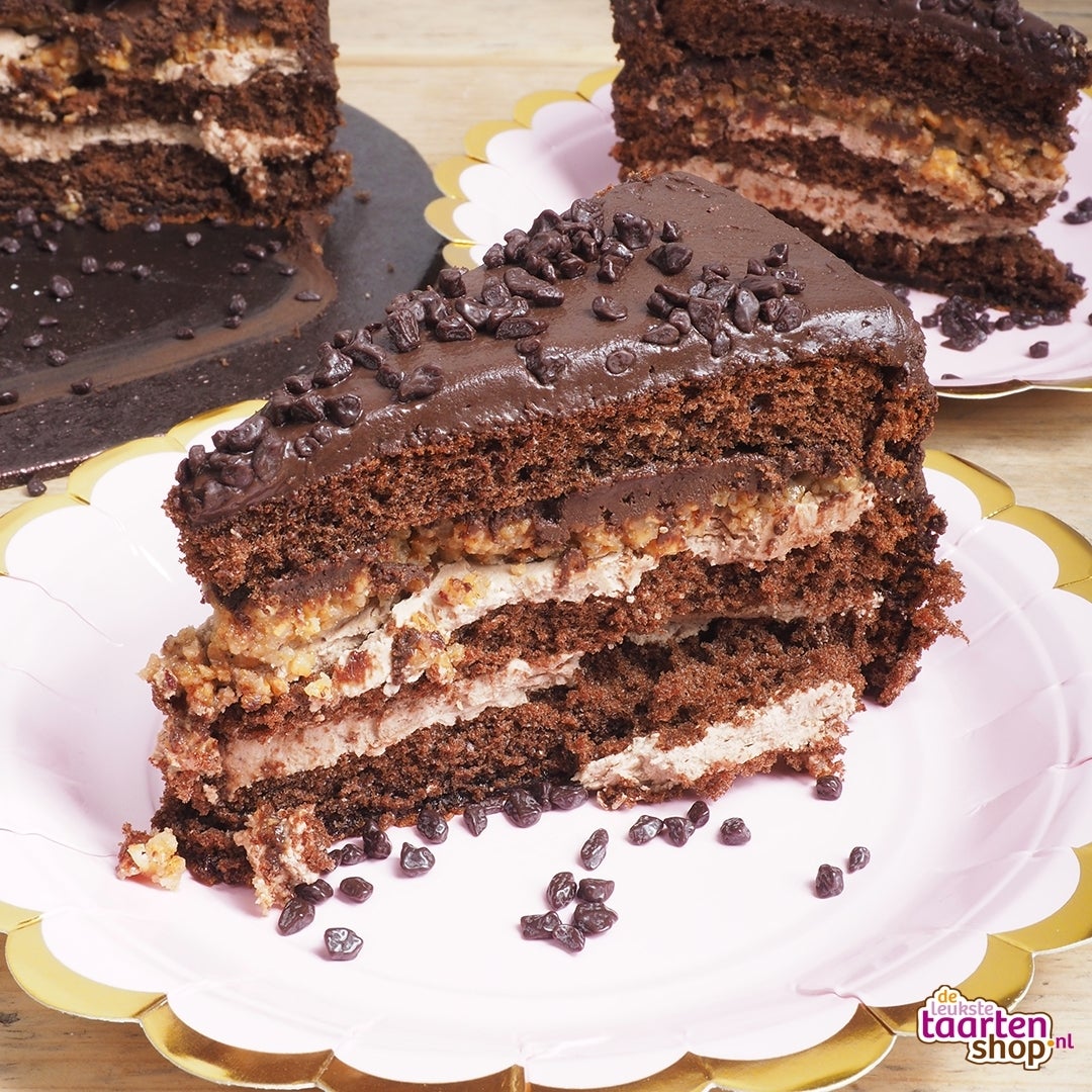 Chocolate Cake with Hazelnut Crunch and Ganache