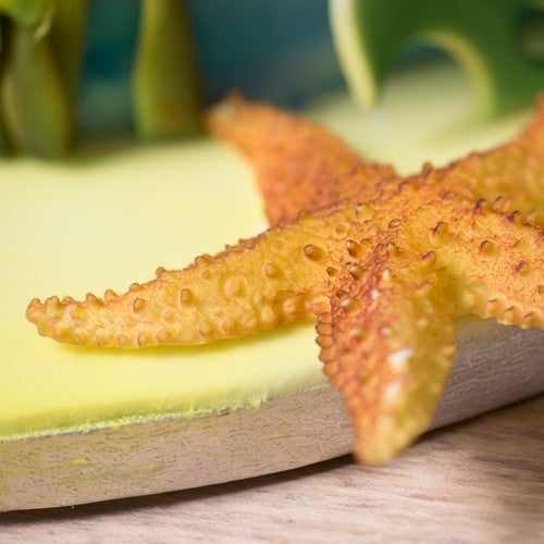 Tropical cake