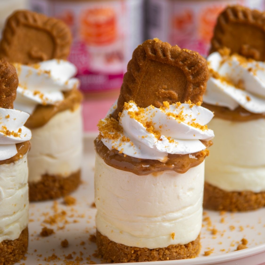 Mini Biscoff Bavarois Cakes