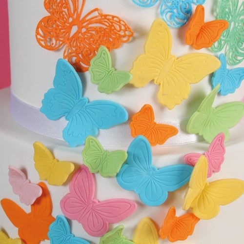 Beautiful butterflies