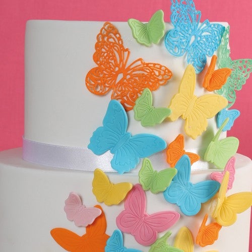 Beautiful butterflies