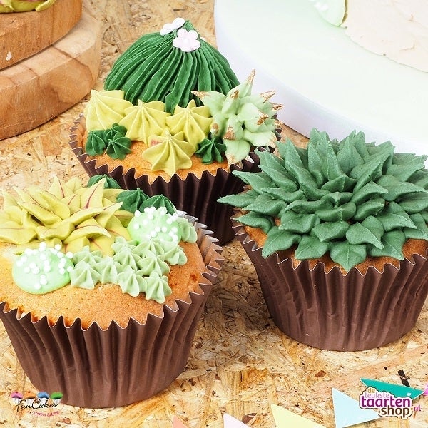 Succulent cupcakes