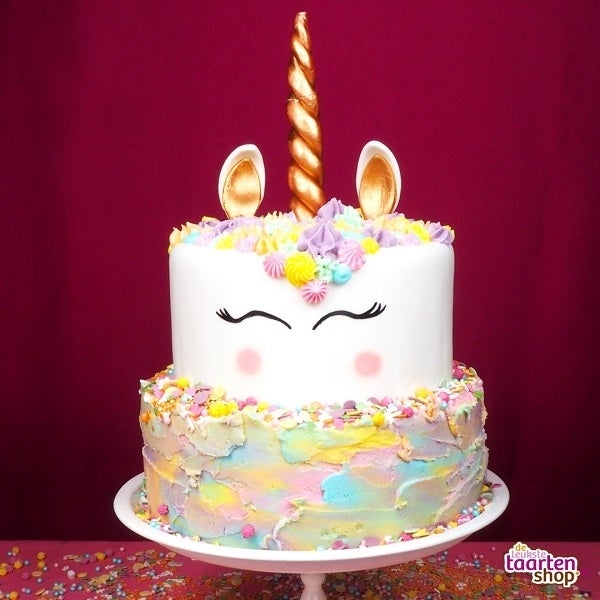 Two layer Unicorn cake