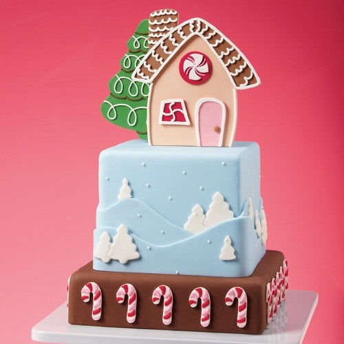 Winter Wilton cake