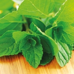 FunCakes Flavour Paste Green Mint 100 g