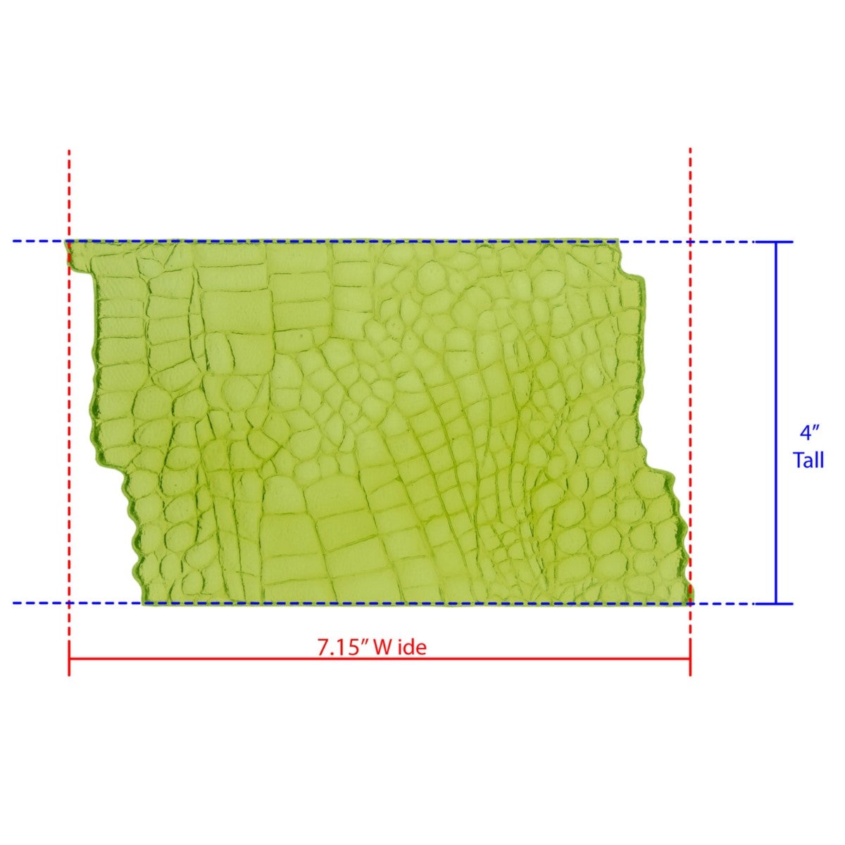 Marvelous Molds Silicone Mold - Alligator