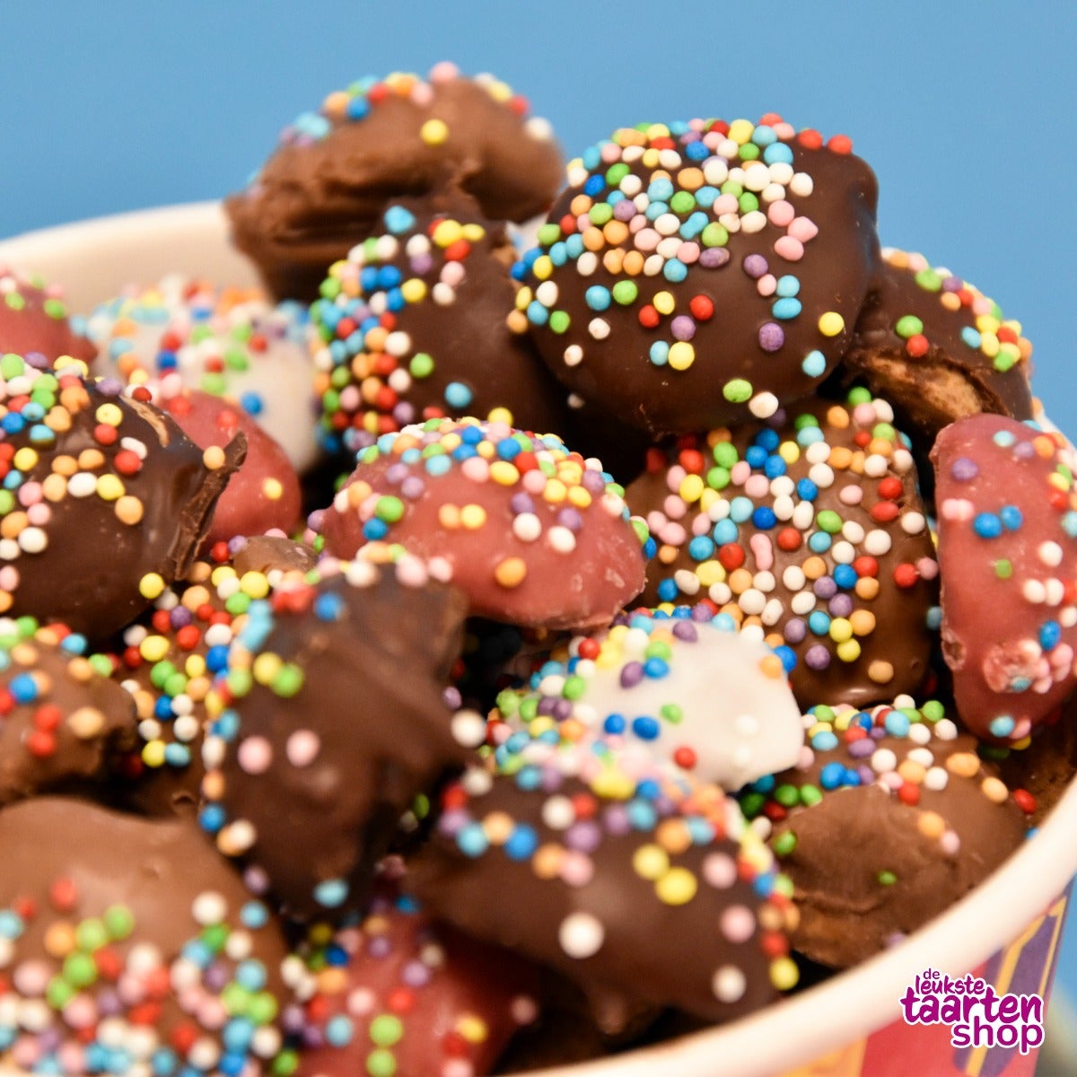 Saint Nicholas Chocolate Dutch Spiced Biscuits