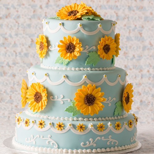Frozen Fever-Annas Birthday Cake Edible Image Cake Border Designer Prints 